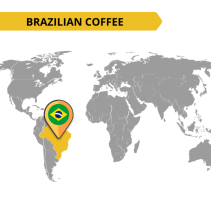 Caffe Corsini Compagnia dell'Arabica Brasil coffee capsules: Velvety Brazilian Arabica with chocolate notes